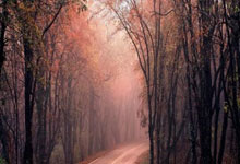 喜讯!17岁国足新归化在澳超爆发进绝杀,未来有望签约五大联赛.