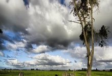 阿方索:拜仁冒险签下了年轻的我,与他们续约表明了我的热爱.