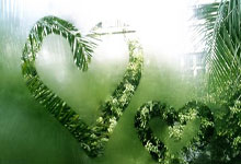 王大雷赛前更衣室讲话:让我们享受比赛!.